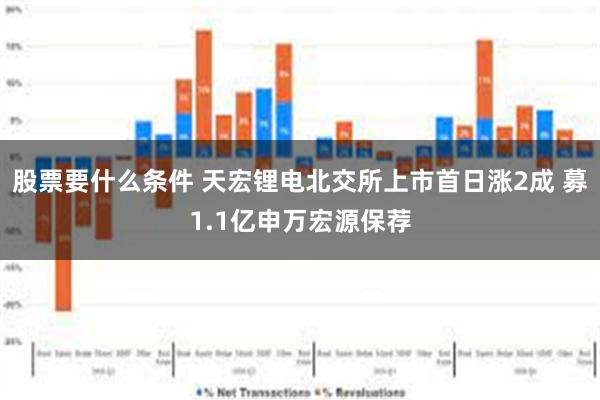 股票要什么条件 天宏锂电北交所上市首日涨2成 募1.1亿申万宏源保荐