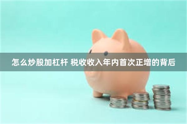 怎么炒股加杠杆 税收收入年内首次正增的背后