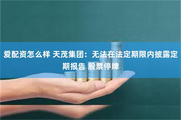 爱配资怎么样 天茂集团：无法在法定期限内披露定期报告 股票停牌