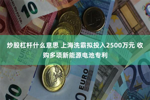 炒股杠杆什么意思 上海洗霸拟投入2500万元 收购多项新能源电池专利