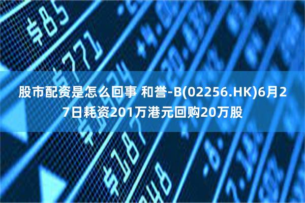 股市配资是怎么回事 和誉-B(02256.HK)6月27日耗资201万港元回购20万股