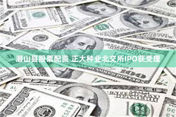 潜山县股票配资 正大种业北交所IPO获受理